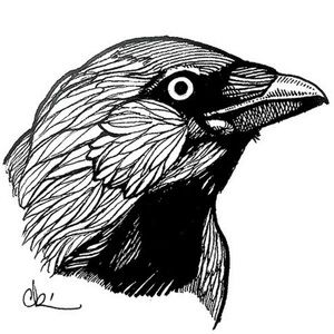 Meet your Posher, Jack